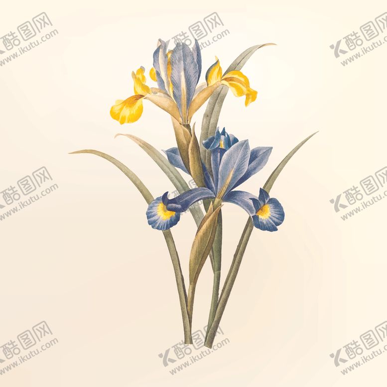 编号：83758310251912219347【酷图网】源文件下载-花纹