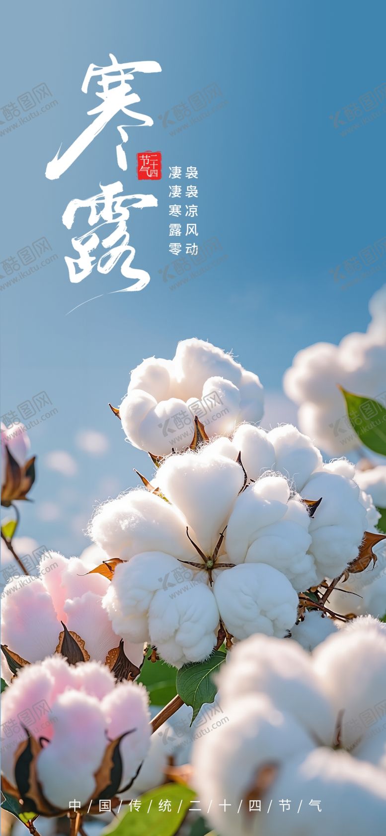 编号：49278802242203421741【酷图网】源文件下载-寒露