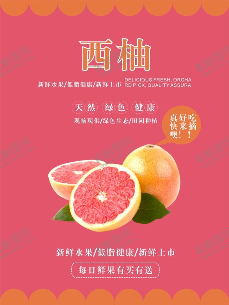 编号：17037201140024246537【酷图网】源文件下载-西柚海报