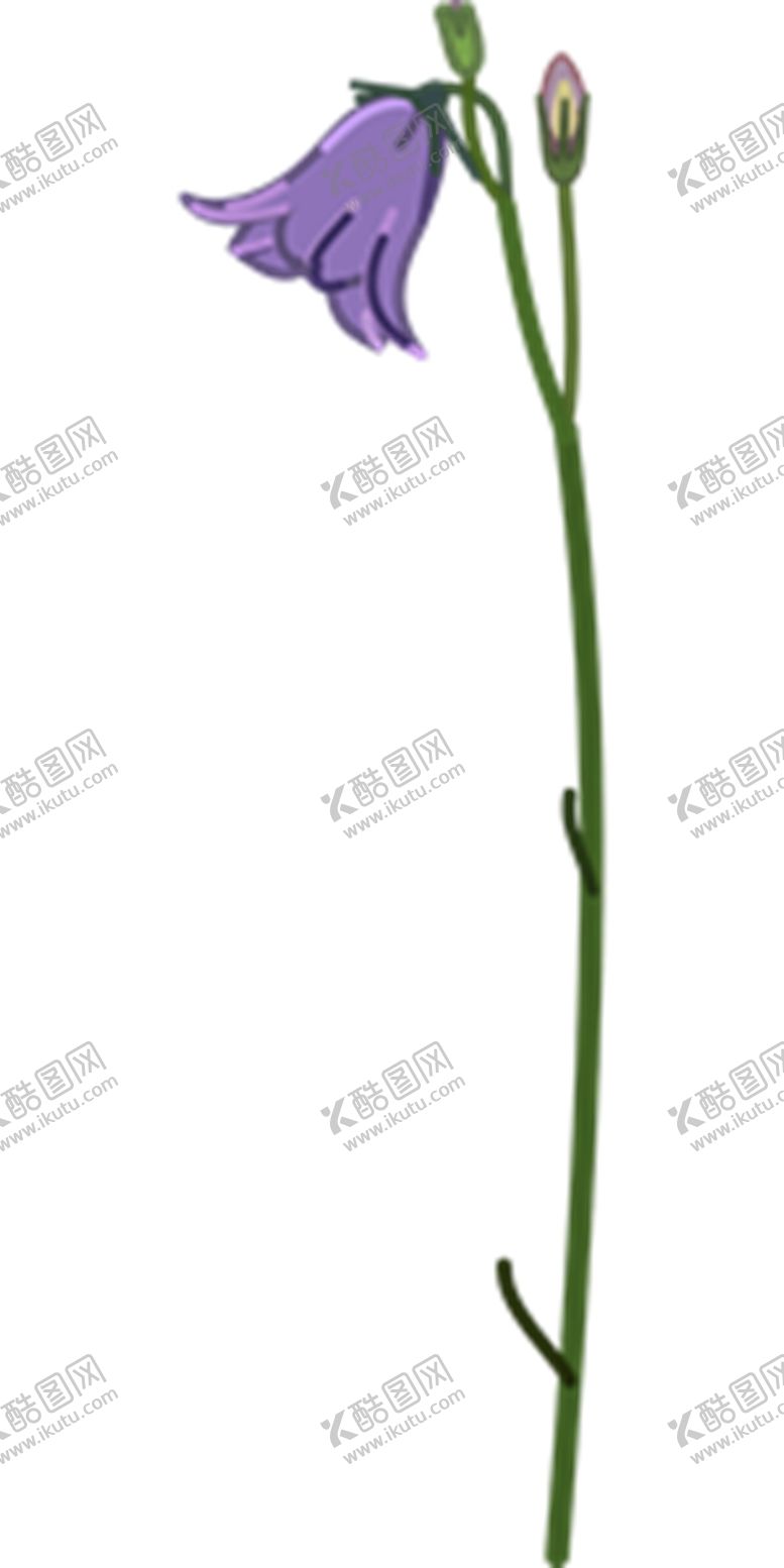 编号：58858705121820182414【酷图网】源文件下载-风铃草