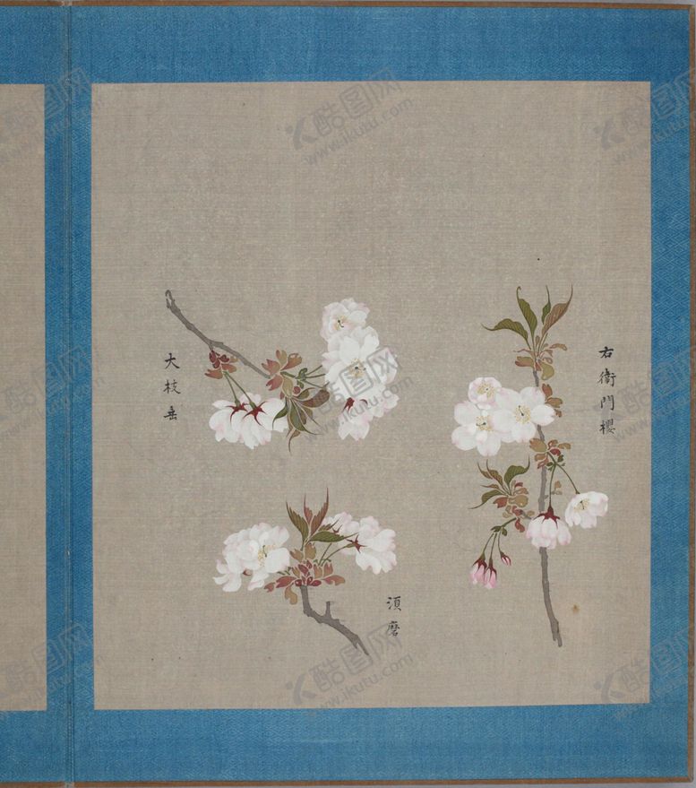 编号：97035604241034338084【酷图网】源文件下载-樱花