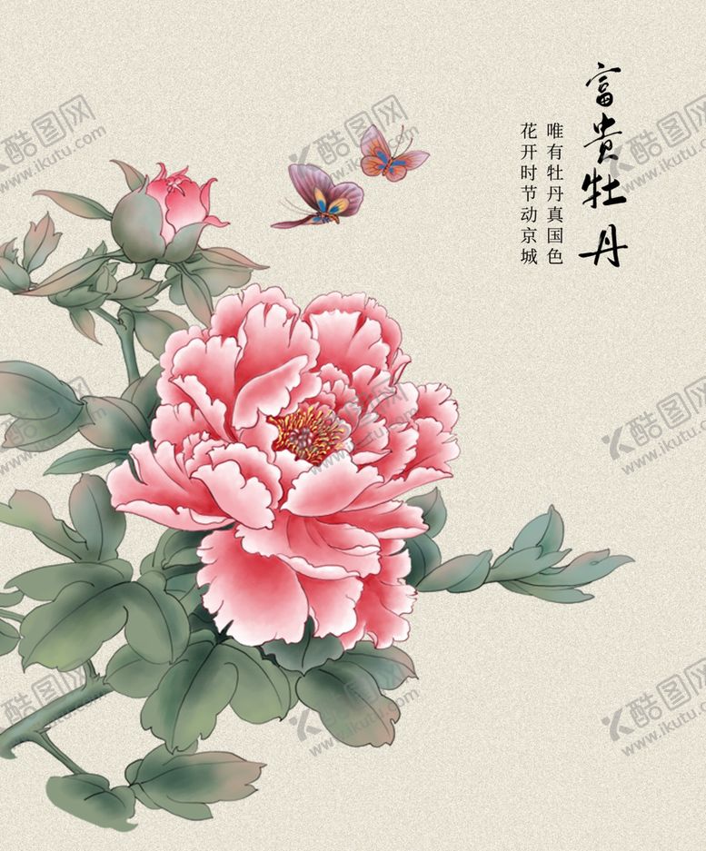 编号：13785209191017509608【酷图网】源文件下载-牡丹花