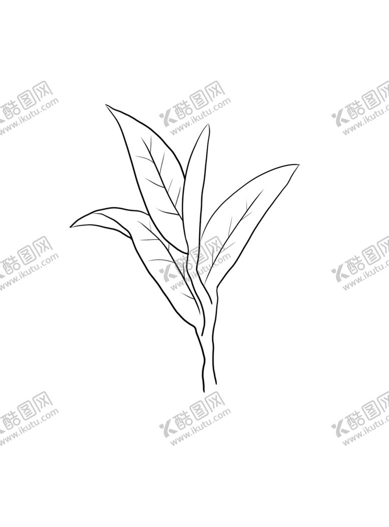 编号：96378306301336217858【酷图网】源文件下载-茶叶