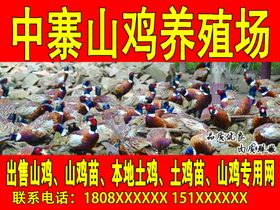 落山鸡代金券