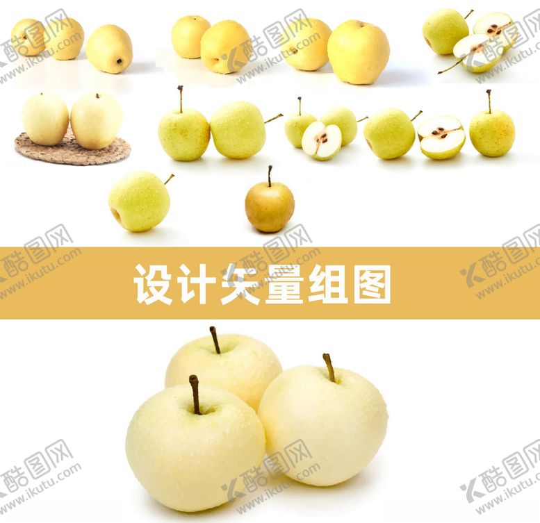 编号：31023910281510404287【酷图网】源文件下载-皇冠梨矢量