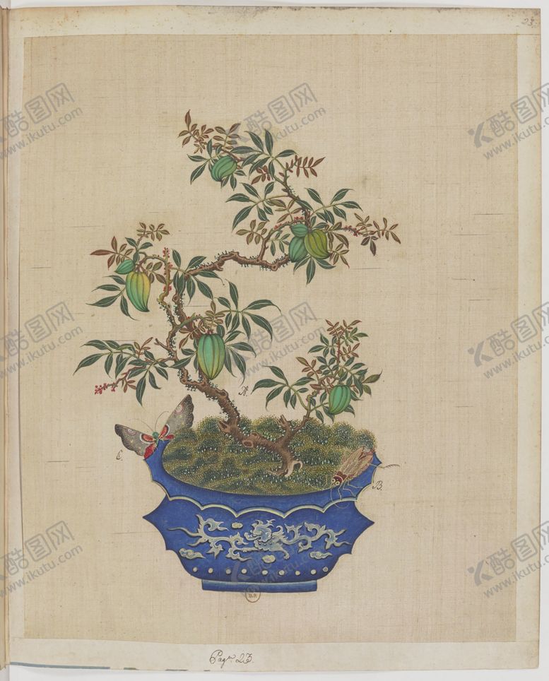 编号：34153703302253393921【酷图网】源文件下载-盆景花鸟