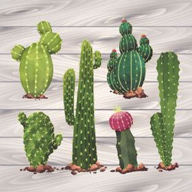 仙人掌植物印花图片