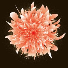 素材花渐变