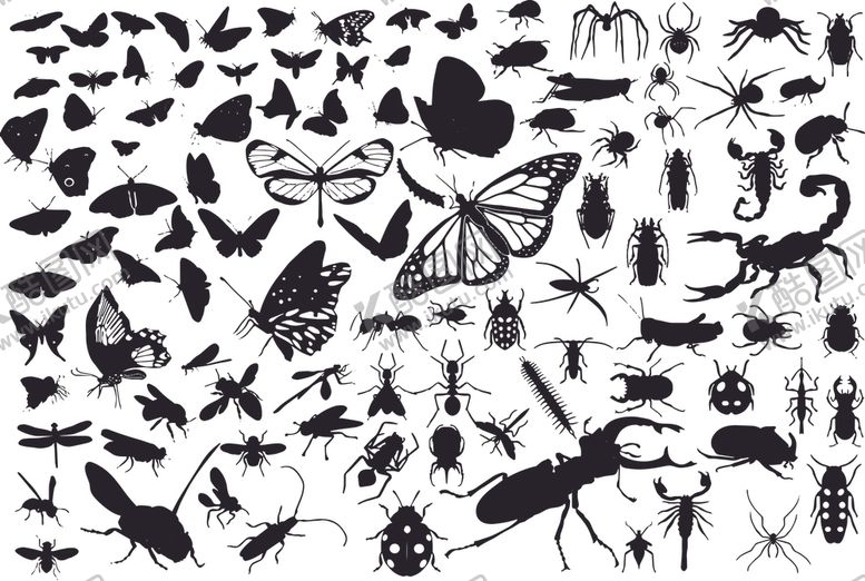 编号：30129509240712563817【酷图网】源文件下载-100种感染源昆虫矢量元素