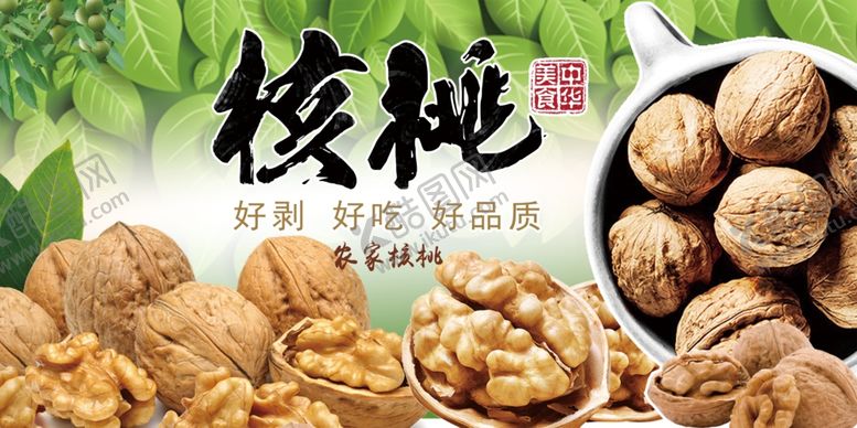 编号：51662510250637444591【酷图网】源文件下载-核桃促销