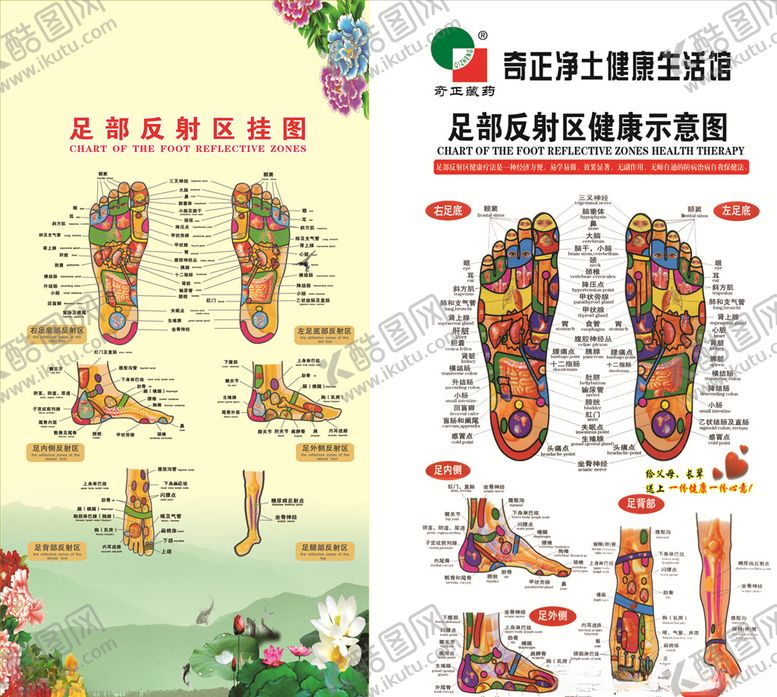 编号：59355806180334346721【酷图网】源文件下载-足部反射区挂图