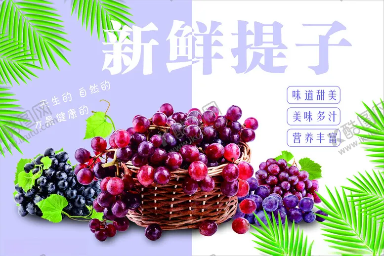 编号：37714802080342495305【酷图网】源文件下载-水果海报