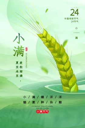 小满海报微信稿单图地产节气