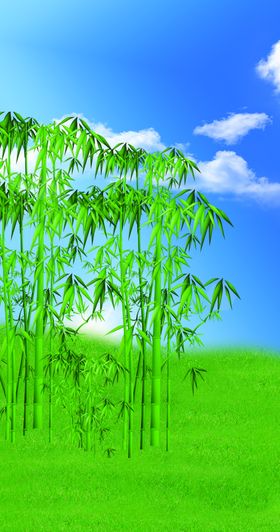 竹林背景板