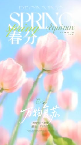 朦胧玻璃花朵春分立春通用海报
