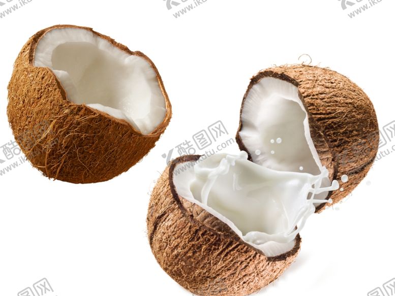 编号：98114909210947439232【酷图网】源文件下载-椰子