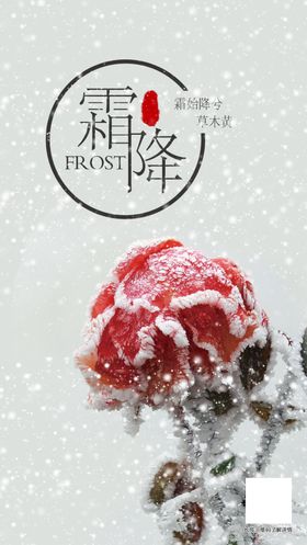 霜降海报