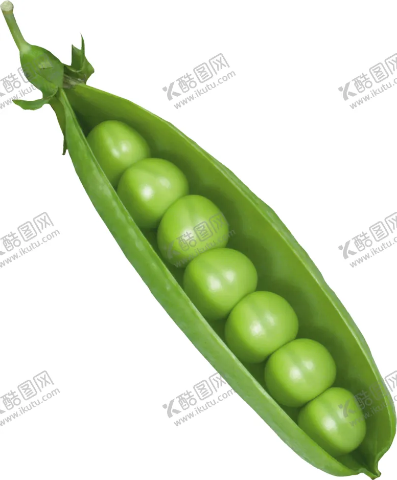 编号：45315106271051515304【酷图网】源文件下载-豌豆