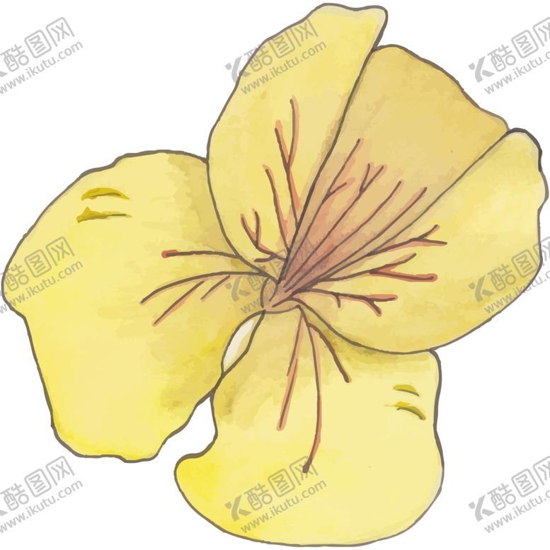 编号：47068709300759165491【酷图网】源文件下载-花图片