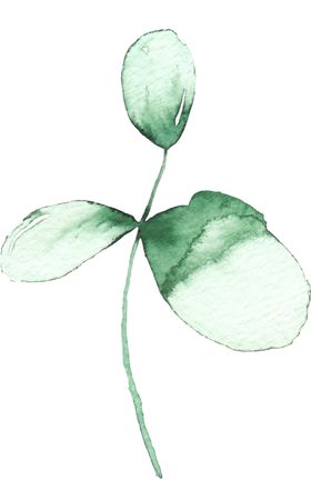 海报元素花草元素展架元素