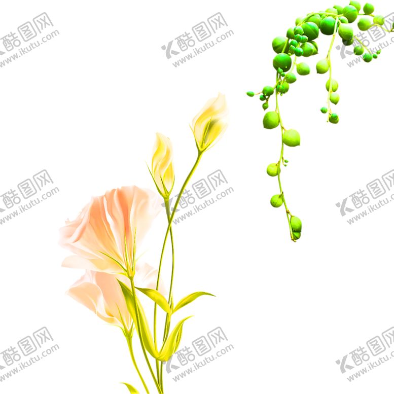 编号：91011607010827065035【酷图网】源文件下载-鲜花装饰