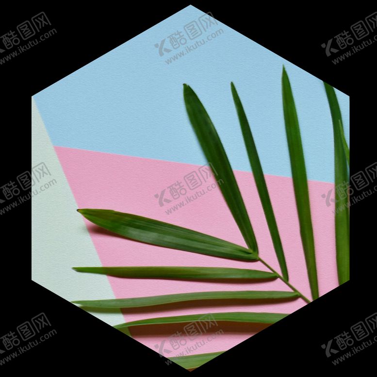 编号：16558810231130181673【酷图网】源文件下载-植物花草装饰挂画
