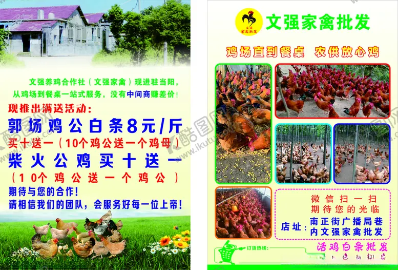 编号：25474306151706053801【酷图网】源文件下载-家禽单页