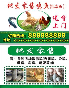 原生态鸡名片