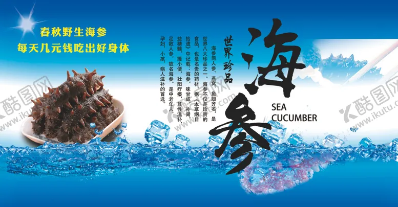 编号：18278107010741393818【酷图网】源文件下载-海参