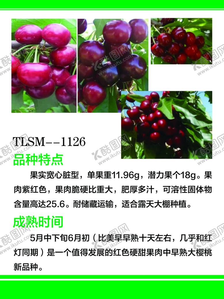 编号：89211404180744426583【酷图网】源文件下载-美早樱桃