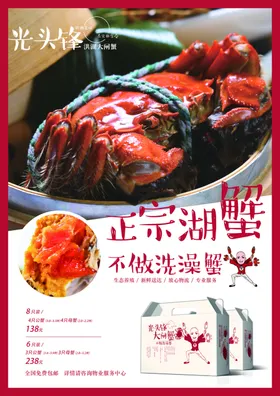大闸蟹美味促销阳澄湖