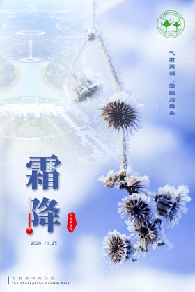 霜降节气水墨海报