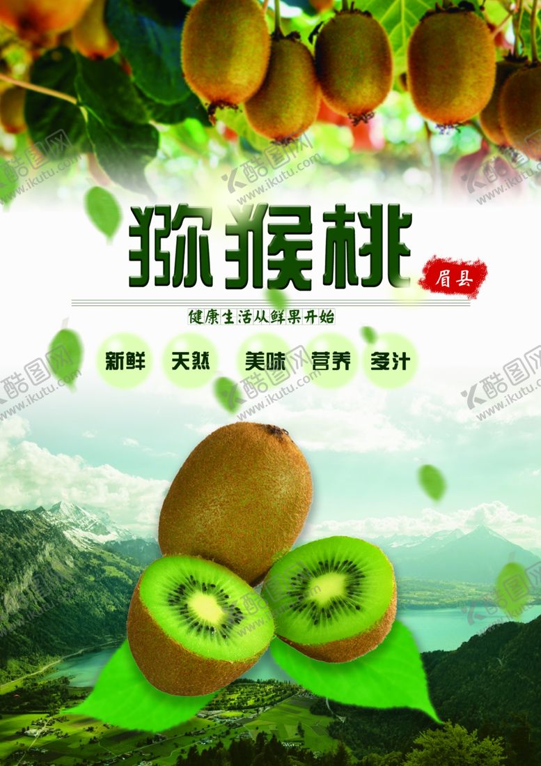 编号：32337209140901463992【酷图网】源文件下载-A4彩页猕猴桃正面