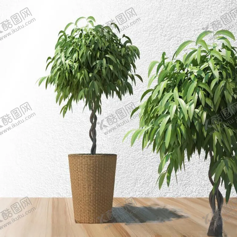 编号：57151902180505346054【酷图网】源文件下载-C4D模型绿色植物