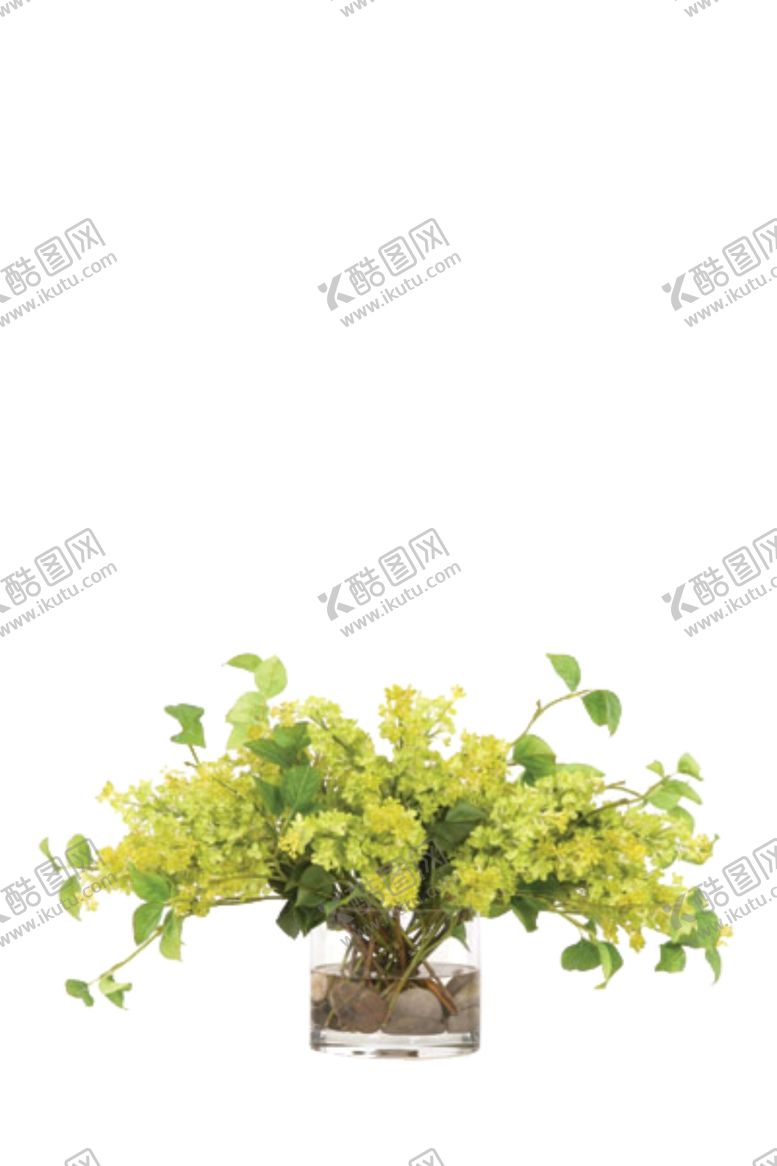 编号：62387506281921561444【酷图网】源文件下载-免抠背景花草树木
