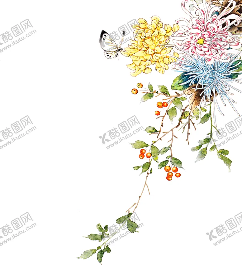编号：18759402011012402814【酷图网】源文件下载-菊花