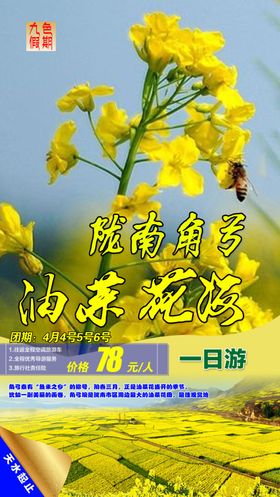 甘肃舟曲角弓油菜花海旅游海报