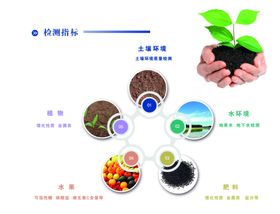 检测指标