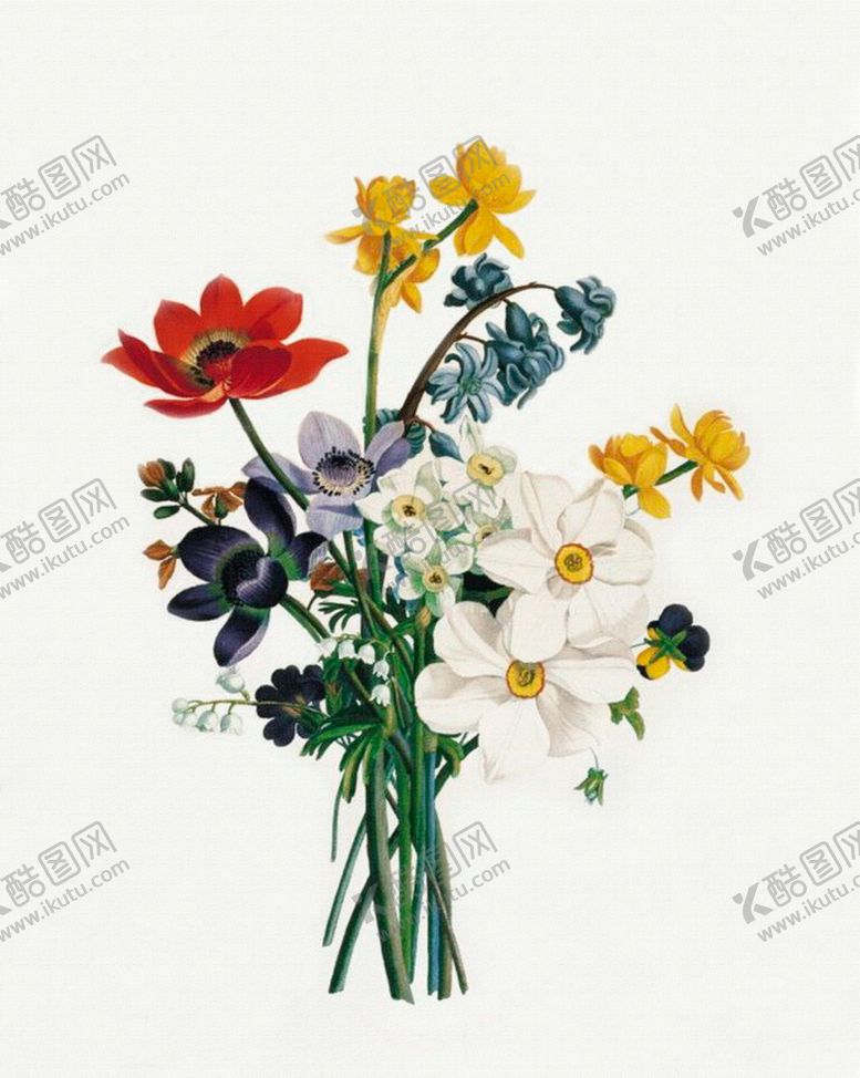 编号：31245507130626425770【酷图网】源文件下载-复古色调植物花朵绘画