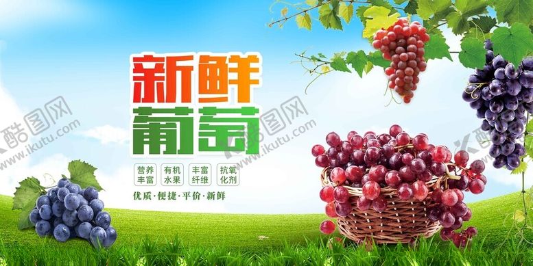 编号：80978702211701398776【酷图网】源文件下载-新鲜葡萄