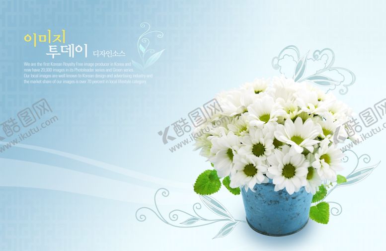 编号：35790210300854362301【酷图网】源文件下载-花卉素材