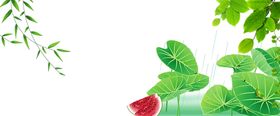 绿色边框