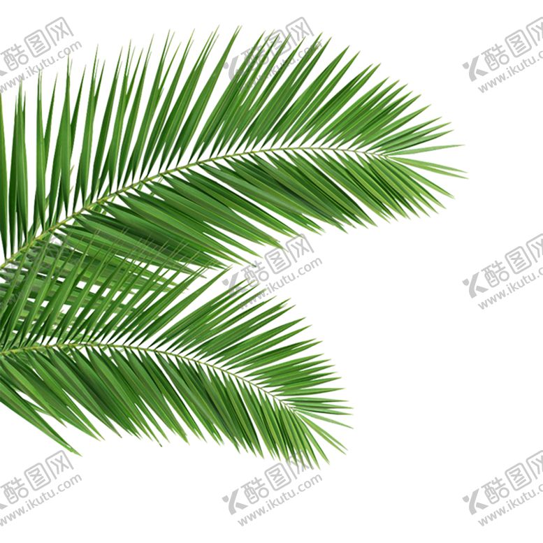 编号：73122809120849154743【酷图网】源文件下载-绿色背景