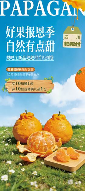 耙耙柑上市展架