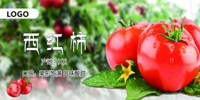 西红柿