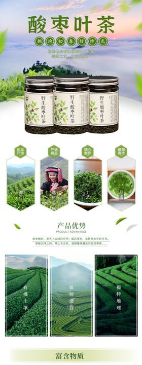 新鲜绿茶茶叶详情