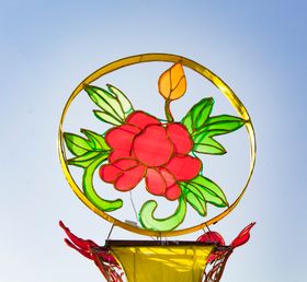 荷花