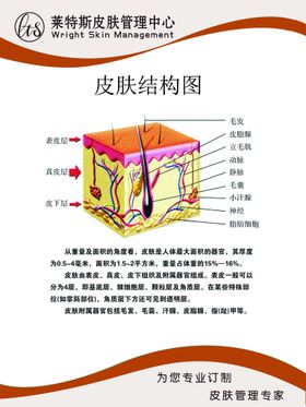 编号：89563709242017300493【酷图网】源文件下载-美容院展板