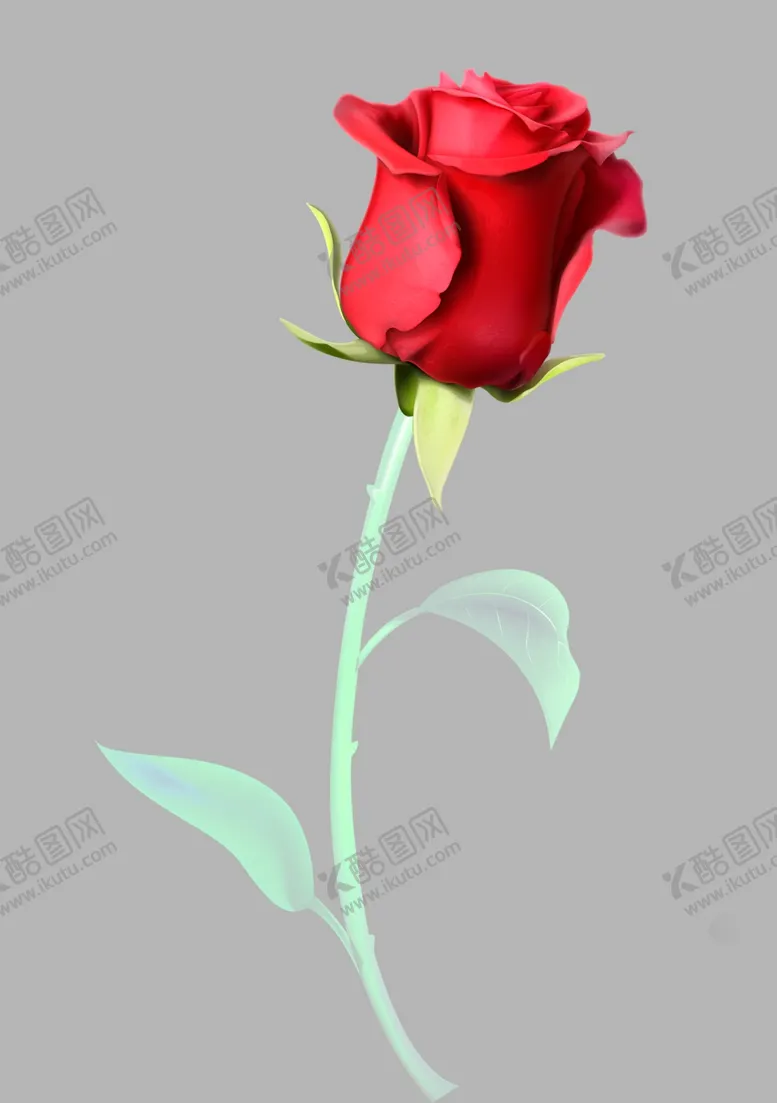 编号：11526407021243547897【酷图网】源文件下载-玫瑰花