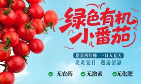 绿色有机小番茄宣传图